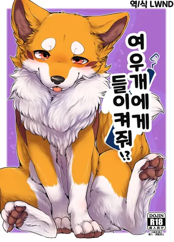 Kitsuneinu ni Nomaso!? | 여우개에게 들이켜줘!?