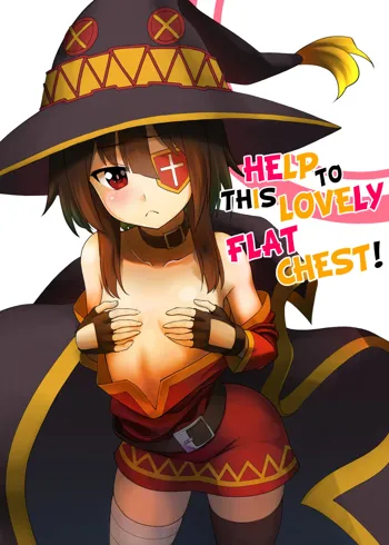 Kono Kawairashii Hinnyu ni Kyuusai o! | Help to this Lovely Flat Chest!, English