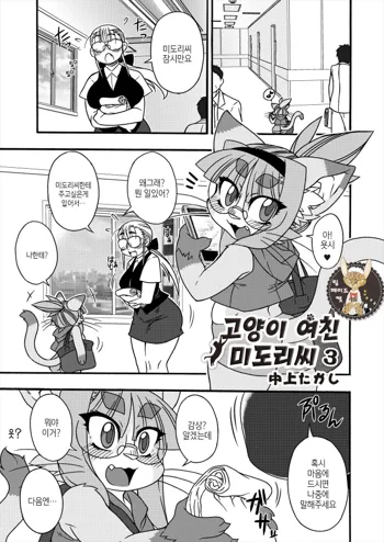 Neko Kano no Midori-san 3 | 고양이 여친 미도리씨 3, 한국어