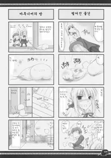 Sawayaka 4koma Inchuu-kun Soushuuhen + alpha, 한국어