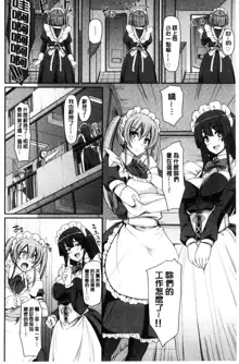 Maid Gakuen e Youkoso!!, 中文