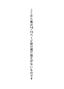 おかーさんとキスしよう, 日本語