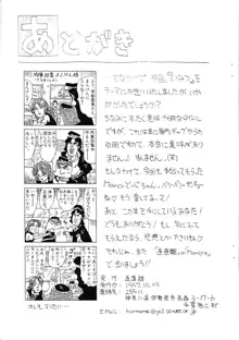 ステラおばさんのひみつ, 日本語