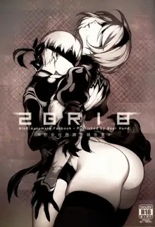 NieR : 2BR18 (decensored), 한국어