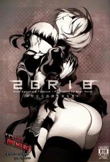 NieR : 2BR18 (decensored), 한국어