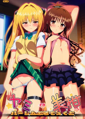 Yami to Mikan no Harem Project (decensored), 中文