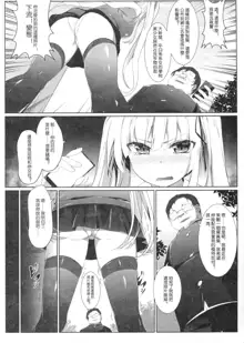 Eriri no Himitsu Diary, 中文