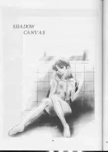 SHADOW CANVAS 10, 日本語