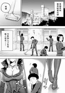 Aku no Onna Shuryou to Doutei Kouseiin, 中文