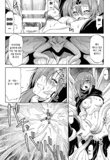 Ikazuchi no Senshi Raidy ~Haja no Raikou~ THE COMIC | 번개의 전사 라이디 ~파사의 뇌광~ THE COMIC Ch. 4-11, 한국어