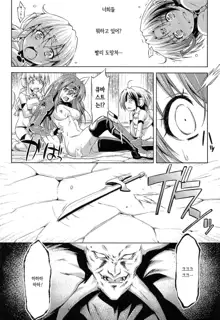 Ikazuchi no Senshi Raidy ~Haja no Raikou~ THE COMIC | 번개의 전사 라이디 ~파사의 뇌광~ THE COMIC Ch. 4-11, 한국어