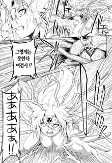 Ikazuchi no Senshi Raidy ~Haja no Raikou~ THE COMIC | 번개의 전사 라이디 ~파사의 뇌광~ THE COMIC Ch. 4-11, 한국어