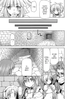 Ikazuchi no Senshi Raidy ~Haja no Raikou~ THE COMIC | 번개의 전사 라이디 ~파사의 뇌광~ THE COMIC Ch. 4-11, 한국어