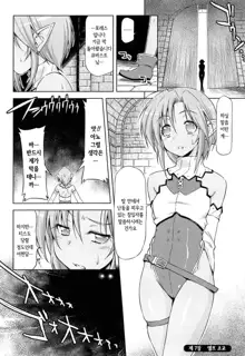 Ikazuchi no Senshi Raidy ~Haja no Raikou~ THE COMIC | 번개의 전사 라이디 ~파사의 뇌광~ THE COMIC Ch. 4-11, 한국어