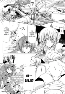 Ikazuchi no Senshi Raidy ~Haja no Raikou~ THE COMIC | 번개의 전사 라이디 ~파사의 뇌광~ THE COMIC Ch. 4-11, 한국어