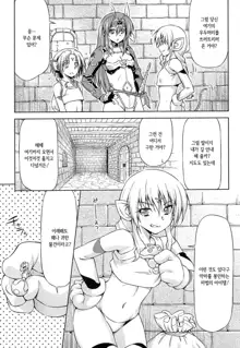 Ikazuchi no Senshi Raidy ~Haja no Raikou~ THE COMIC | 번개의 전사 라이디 ~파사의 뇌광~ THE COMIC Ch. 4-11, 한국어