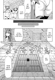 Ikazuchi no Senshi Raidy ~Haja no Raikou~ THE COMIC | 번개의 전사 라이디 ~파사의 뇌광~ THE COMIC Ch. 4-11, 한국어