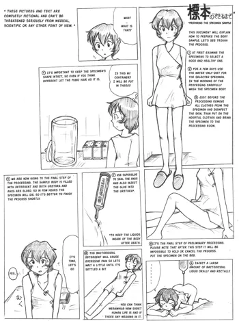 how to put girls in display, English