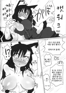 Neko x Wolf. | 고양이 x 늑대., 한국어