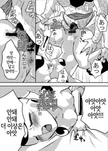 帝王サマの婿になる方法, 한국어