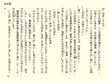 小天使症候群 -りとるえんじぇるしんどろ～む- Vol.II, 日本語