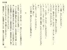 小天使症候群 -りとるえんじぇるしんどろ～む- Vol.II, 日本語