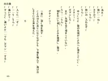 小天使症候群 -りとるえんじぇるしんどろ～む- Vol.II, 日本語