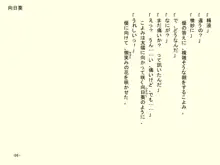 小天使症候群 -りとるえんじぇるしんどろ～む- Vol.II, 日本語