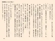 小天使症候群 -りとるえんじぇるしんどろ～む- Vol.II, 日本語