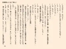 小天使症候群 -りとるえんじぇるしんどろ～む- Vol.II, 日本語