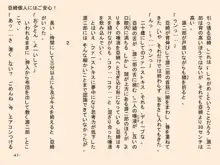 小天使症候群 -りとるえんじぇるしんどろ～む- Vol.II, 日本語