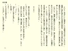 小天使症候群 -りとるえんじぇるしんどろ～む- Vol.II, 日本語