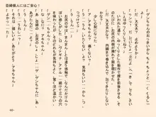 小天使症候群 -りとるえんじぇるしんどろ～む- Vol.II, 日本語