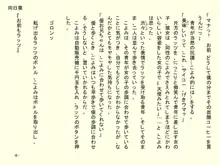 小天使症候群 -りとるえんじぇるしんどろ～む- Vol.II, 日本語