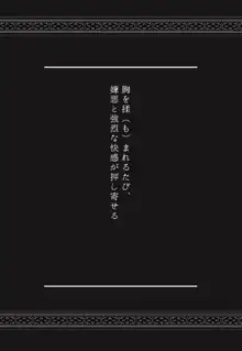 女体化ビッチ～薬で女になってレイプされた、俺。, 日本語