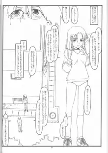 DESTRUCTION GIRL appendix^2, 日本語