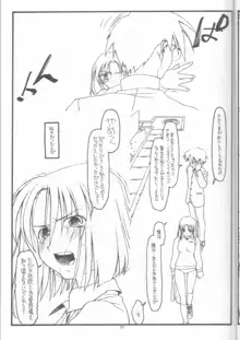 DESTRUCTION GIRL appendix^2, 日本語