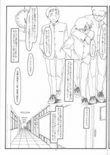 DESTRUCTION GIRL appendix^2, 日本語