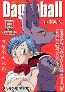 Bulma ga Chikyuu o Sukuu!, 中文