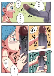 Bulma ga Chikyuu o Sukuu!, 中文