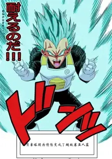 Bulma ga Chikyuu o Sukuu!, 中文