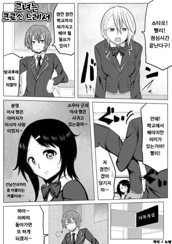 Kanojo wa Crossdresser