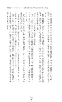 イセリア英雄戦記 【購入特典】, 日本語