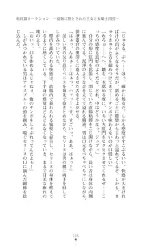 イセリア英雄戦記 【購入特典】, 日本語