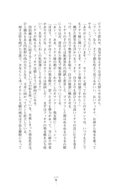 イセリア英雄戦記 【購入特典】, 日本語