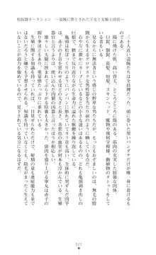 イセリア英雄戦記 【購入特典】, 日本語