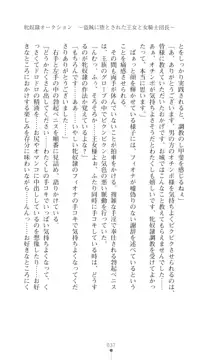 イセリア英雄戦記 【購入特典】, 日本語