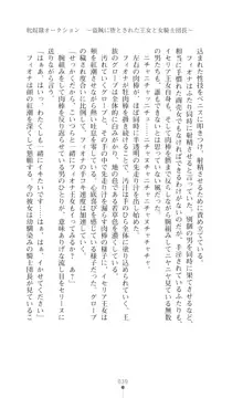 イセリア英雄戦記 【購入特典】, 日本語