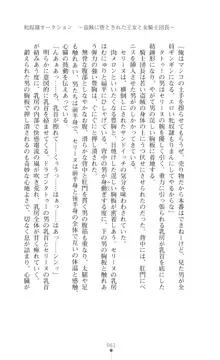 イセリア英雄戦記 【購入特典】, 日本語