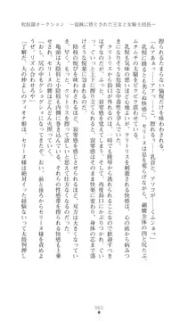 イセリア英雄戦記 【購入特典】, 日本語